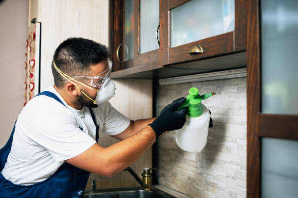 Best Flea Control Services  in Aspinwall, PA